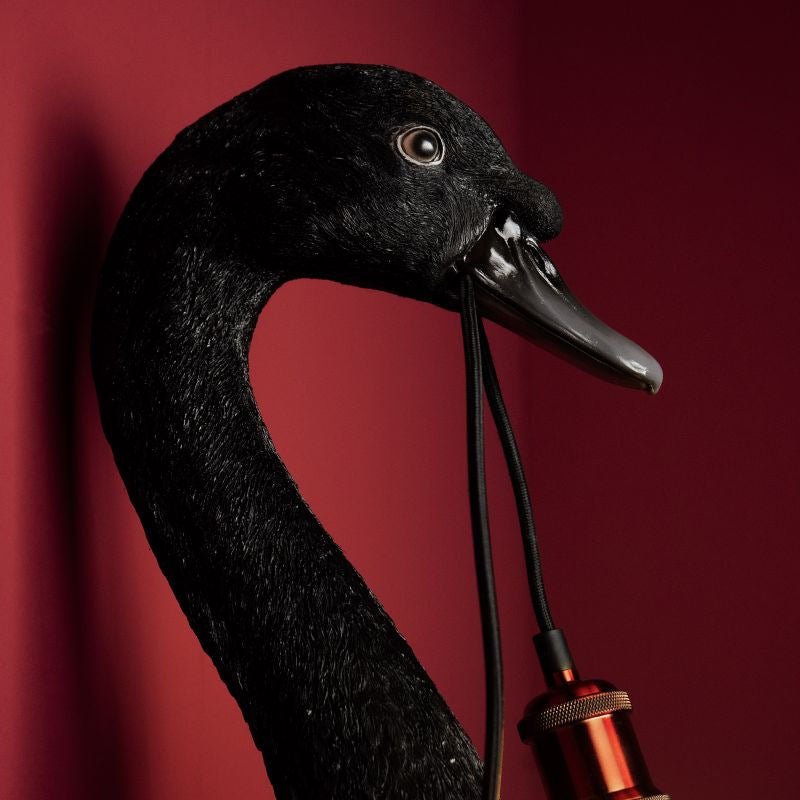 Black Swan Wall Lamp Petra - |VESIMI Design| Luxury Bathrooms and Home Decor