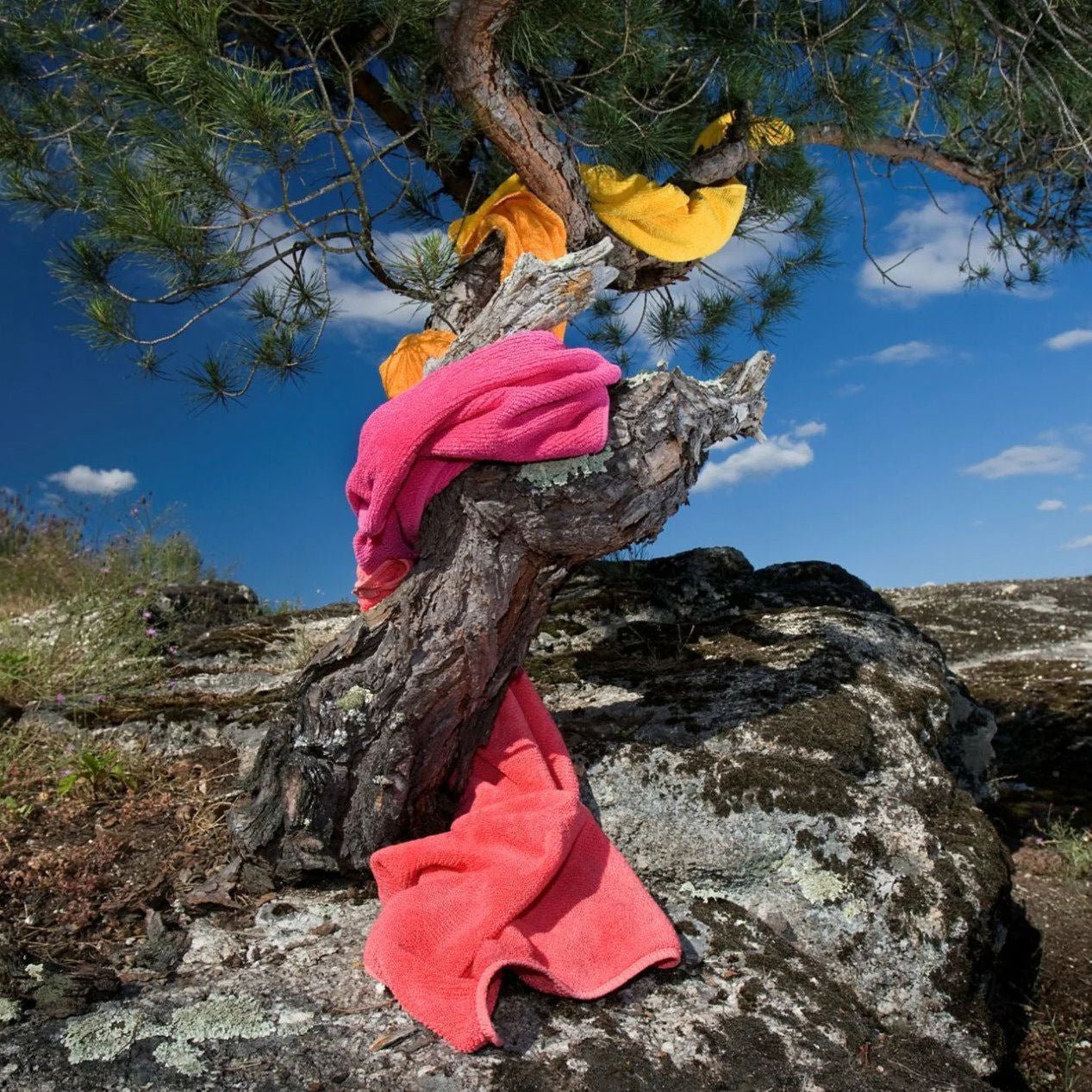 TWILL - Egyptian Cotton Towel | 101 Ecru - |VESIMI Design|