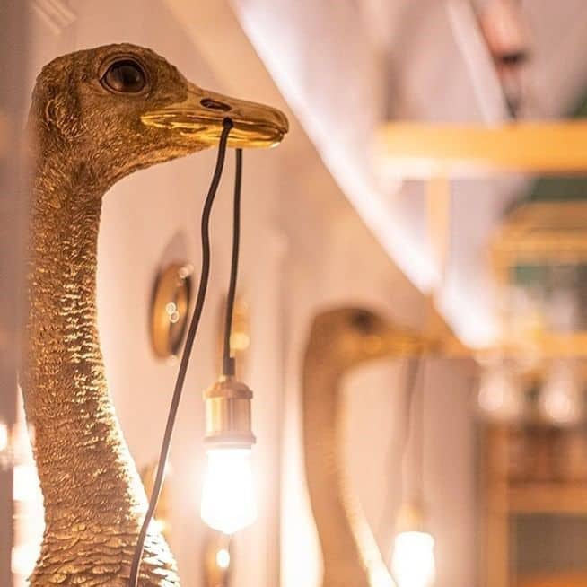 Nástěnná designová lampa na zeď pštros Franz Josef, zlatá