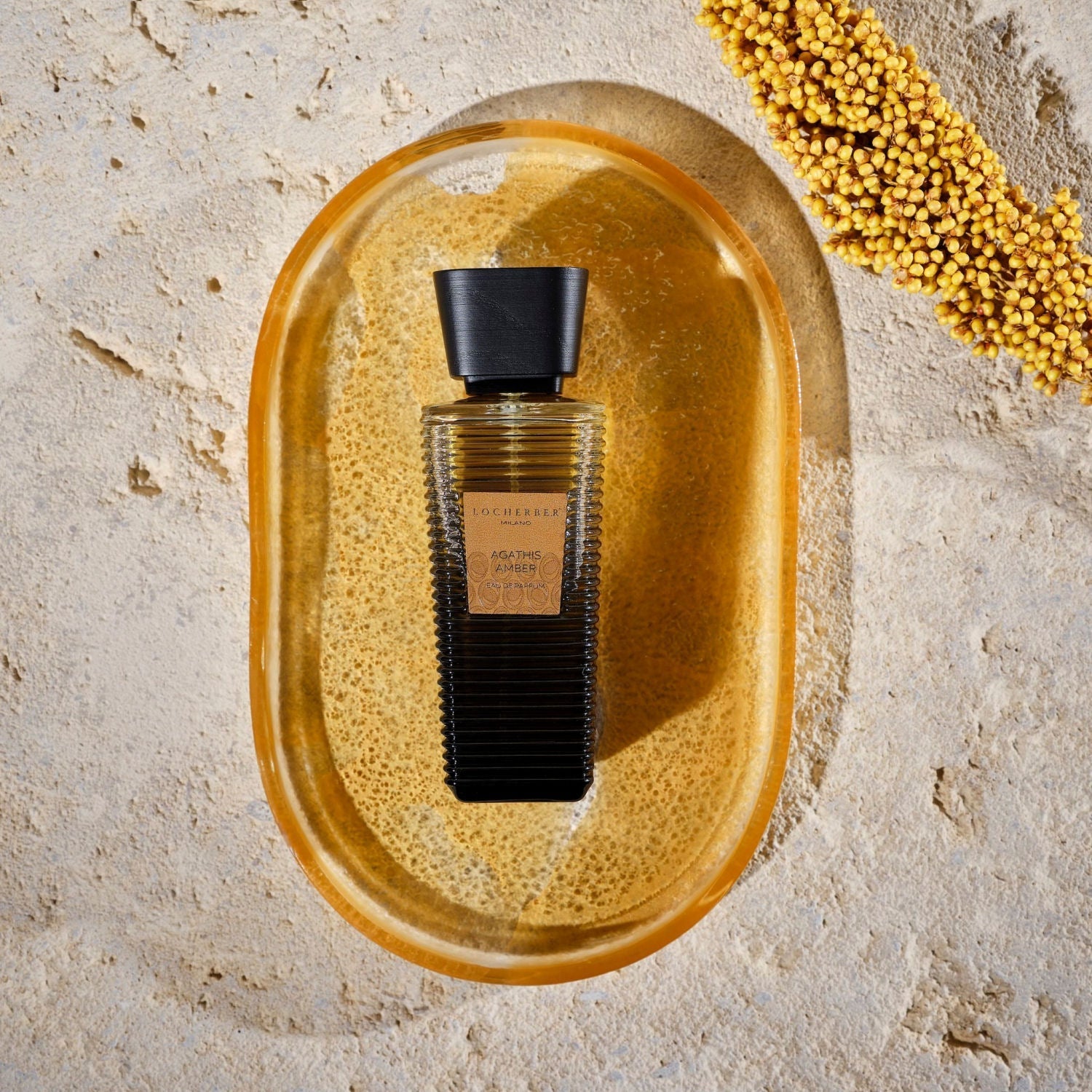 Agathis Amber by Locherber Milano / Eau De Parfum - |VESIMI Design| Luxury Bathrooms and Home Decor