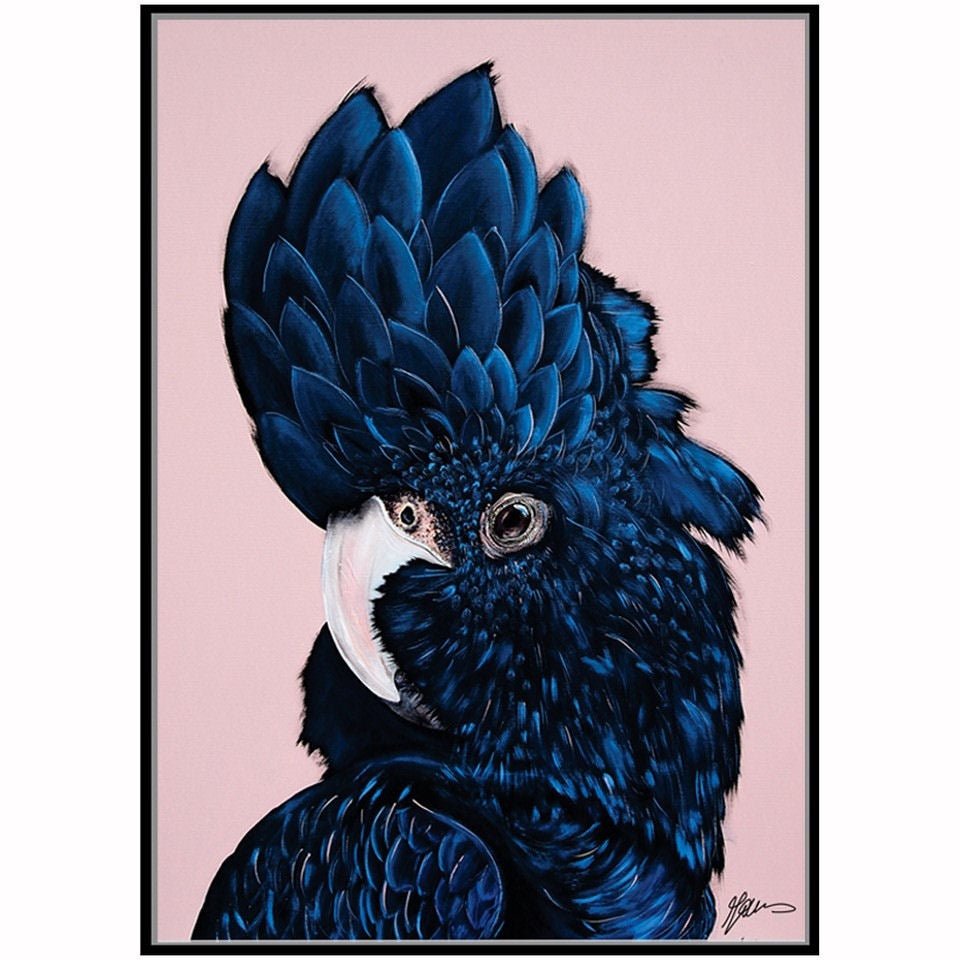 Velký modrý obraz papoušek Kakadu Werns 142cm x 102cm
